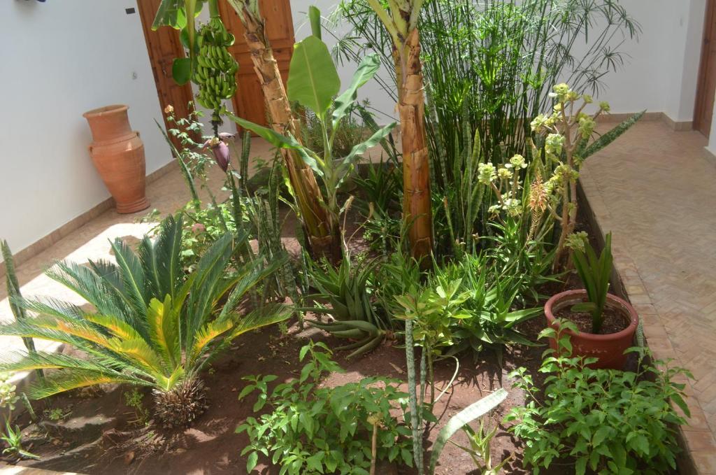 ホテル Casa Naima Ida Ougourd エクステリア 写真