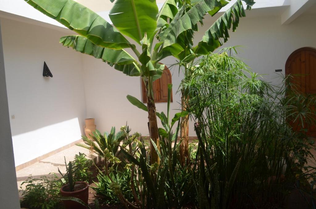 ホテル Casa Naima Ida Ougourd エクステリア 写真